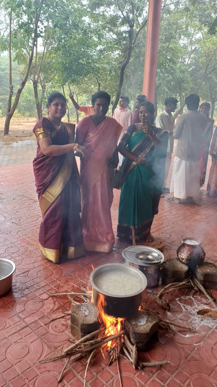Pongal Celebration Cover
